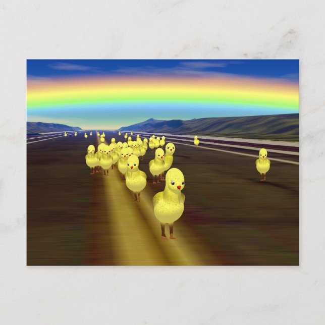 Carte Postale Poulets sur la route (Devant)