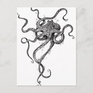 Carte Postale poulpe