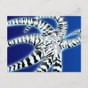 Carte Postale poulpe