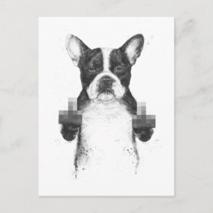 Carte postale pour chien censuré