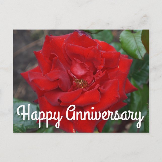 Carte postale pour l'anniversaire Bouquet de roses (Devant)
