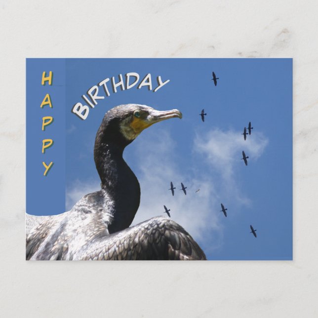 Carte postale pour l'anniversaire des Cormorans en (Devant)