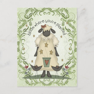 Carte postale pour le plaisir du mouton