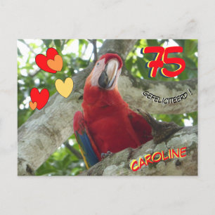 Carte postale pour les 75 ans d'un perroquet rouge