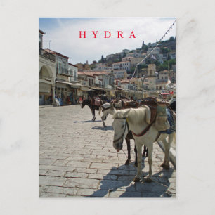 Carte postale pour les chevaux de l'île d'Hydra