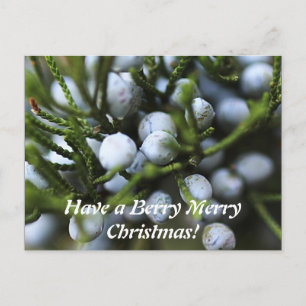 Carte postale pour Noël