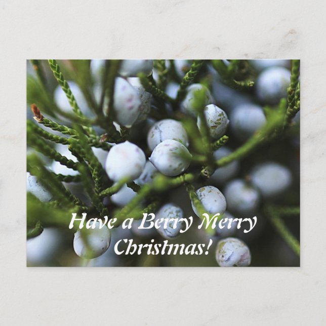 Carte postale pour Noël (Devant)