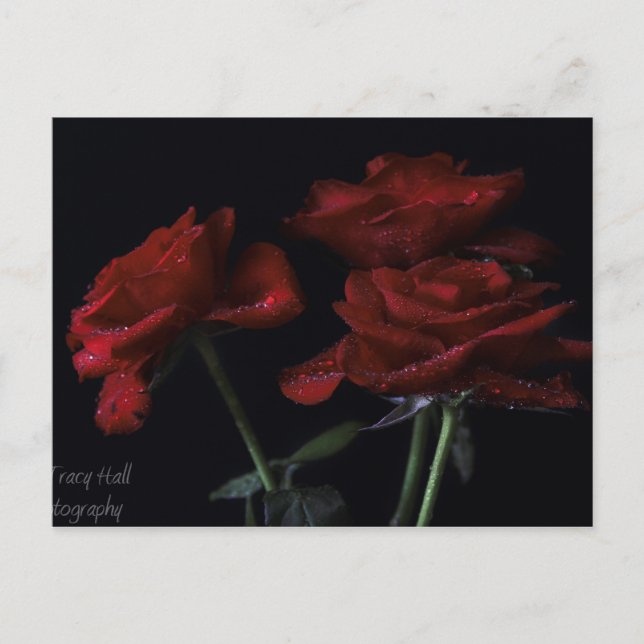 Carte Postale Pour toujours (Devant)