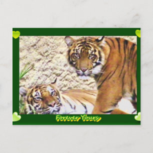 Carte Postale Pour toujours vos_