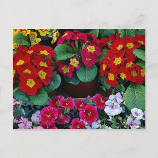 Carte postale pour Voyage 4