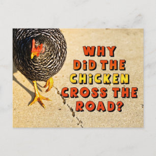 Carte Postale Pourquoi le poulet a-t-il traversé la route?