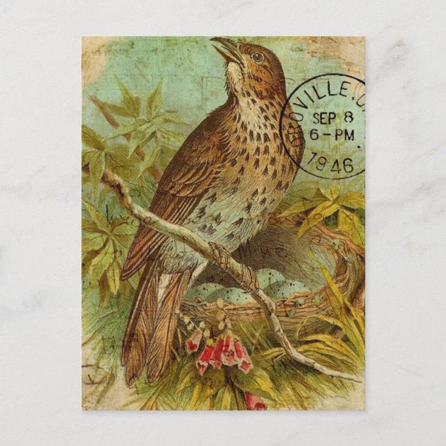 Carte Postale Poussée vintage (Devant)
