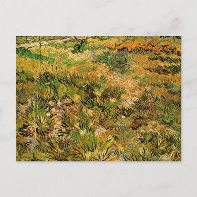 Carte Postale Prairie à l'hôpital Saint-Paul par Vincent van Gog (Devant)