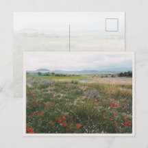 Prairie estivale, Paysage de Cottagecore rêveur