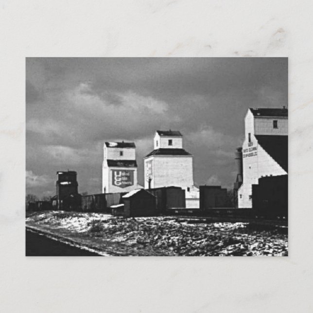 Carte Postale Prairies (Devant)