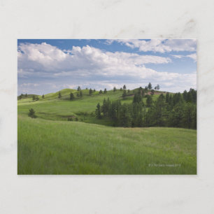 Carte Postale Pré à Custer State Park