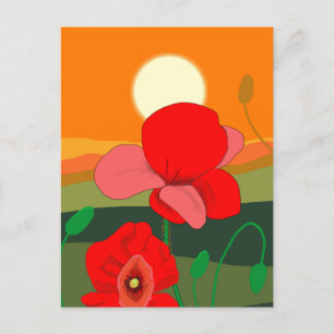 Carte Postale pré au coucher du soleil