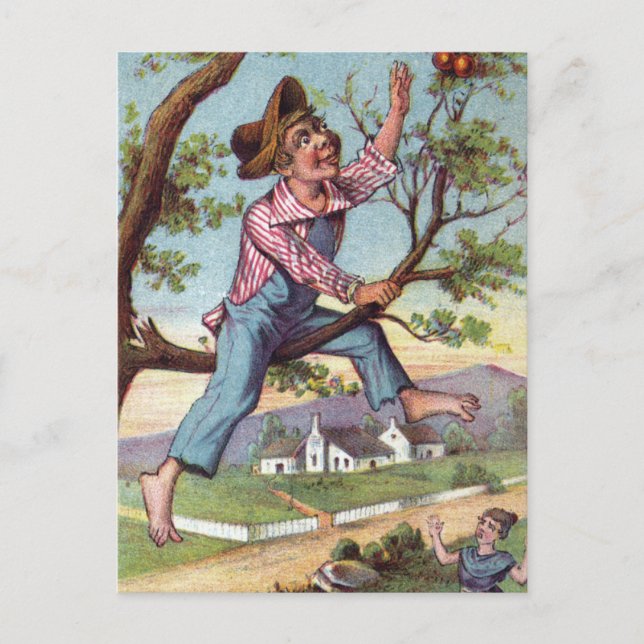 Carte Postale prélèvement vintage de pomme (Devant)