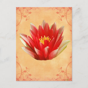 Carte Postale Premier cadeau Chakra