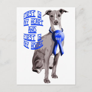 Carte Postale Premier chien italien Greyhound