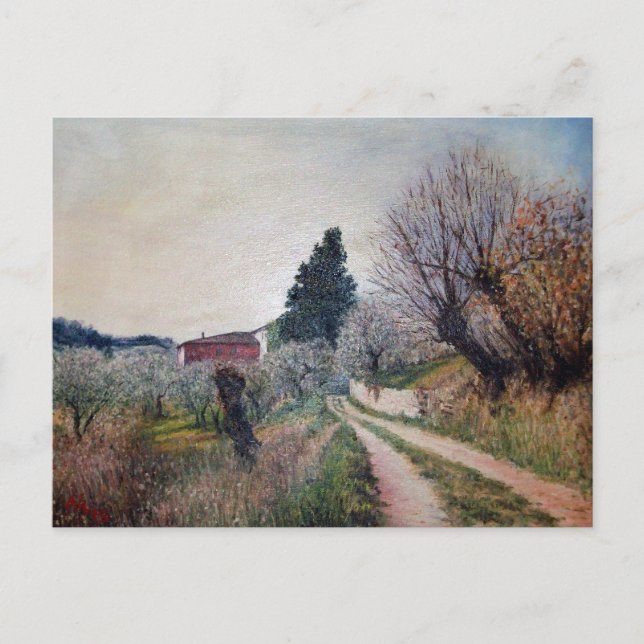 Carte Postale PREMIER PRINTEMPS EN GOUVERNALAIS / Paysage Toscan (Devant)