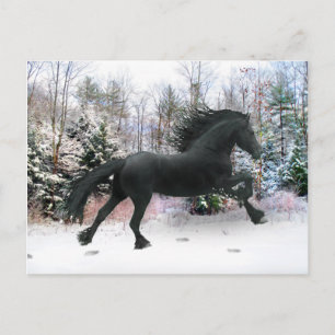 Carte Postale "Première course de neige"