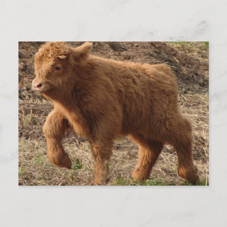 Carte Postale première étape