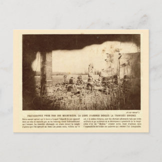 Carte Postale Première Guerre mondiale, France, Les arbres marqu
