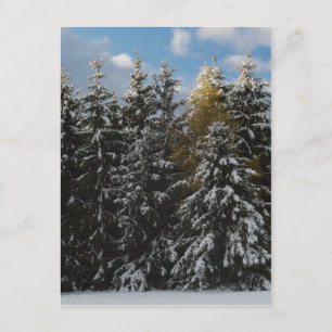 Carte Postale Première neige 2009