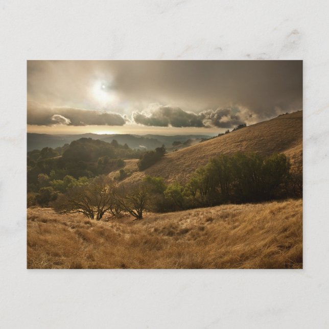 Carte Postale Première pluie de la saison (Devant)