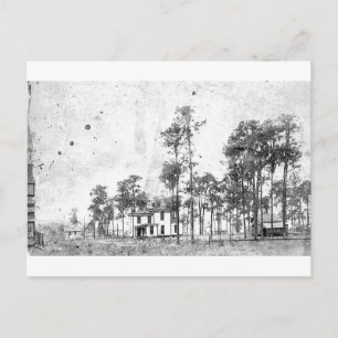 Carte Postale Premières années, Mount Dora, FL