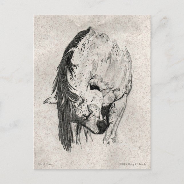 Carte Postale Prenez un bow par Mary Gubisch (Devant)