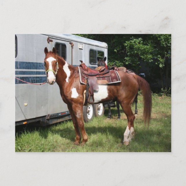 Carte Postale "Préparez pour le tour " (Devant)