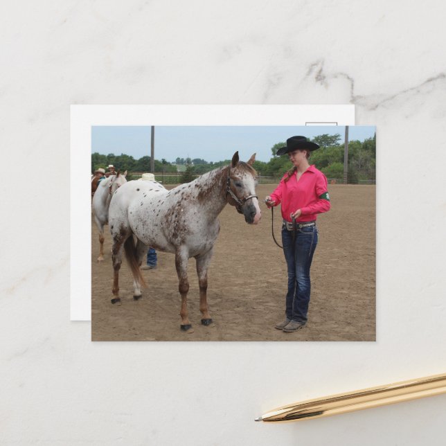 Carte Postale Présentation de chevaux (Devant/Arrière en situation)