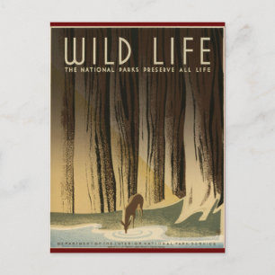 Carte Postale Préserver la vie sauvage