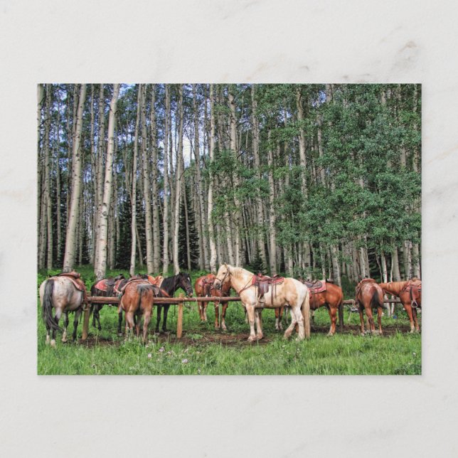 Carte Postale Prêt À Faire Le Tour (Devant)