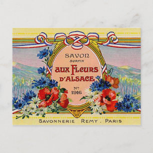 Carte Postale Pretty Floral French Vintage Aux Fleurs D'Alsace