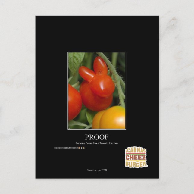 Carte Postale Preuve (Devant)