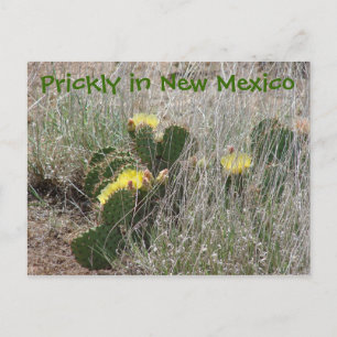 Carte Postale Prickly au Nouveau-Mexique