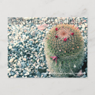 Carte Postale Prickly Ventura