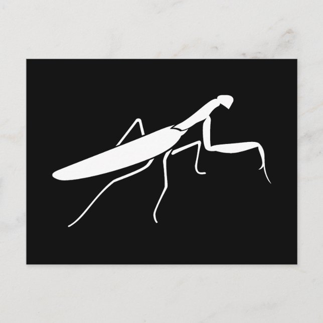 Carte Postale Prier Mantis (Devant)