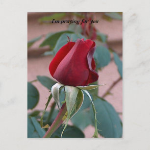 Carte Postale prier pour vous