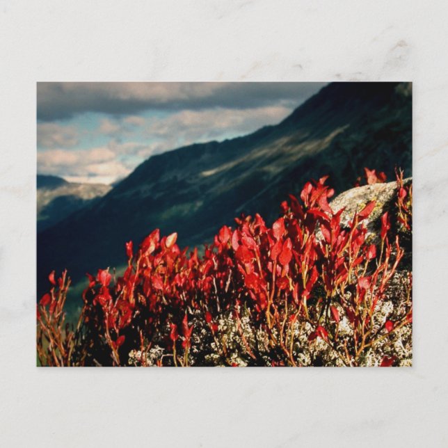 CARTE POSTALE PRIÈRE (Devant)