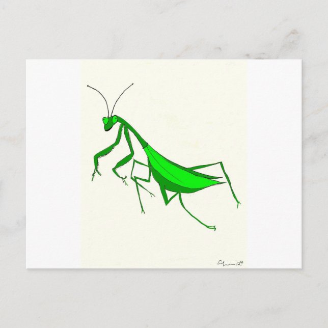Carte Postale Prière Produits Mantis (Devant)