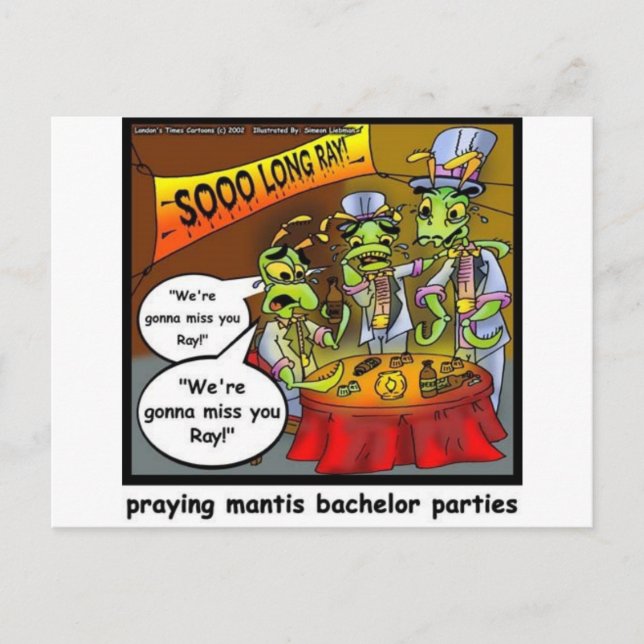 Carte Postale Priez Mantis Batchelor Party Drôle Drôle Cadeaux & (Devant)