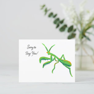Carte Postale Priez Mantis dans une coutume verte