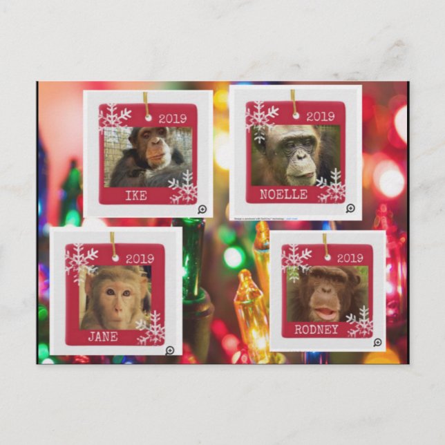 Carte Postale primass rescue cindy postcard (Devant)