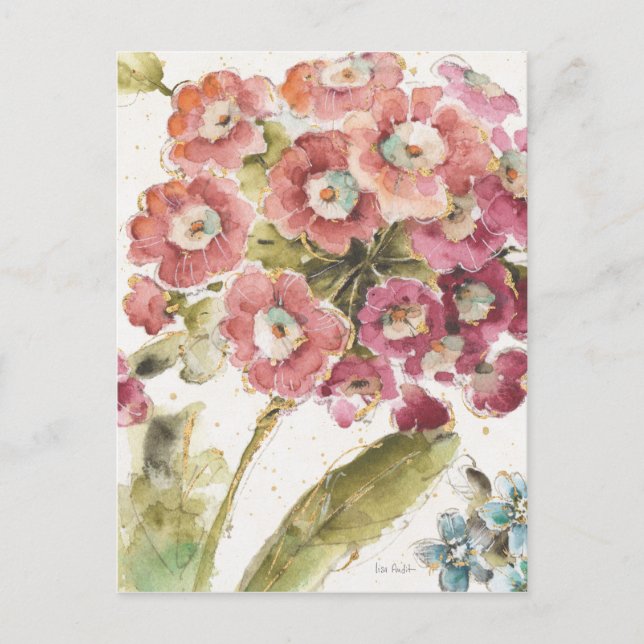 Carte Postale Primevère rose (Devant)