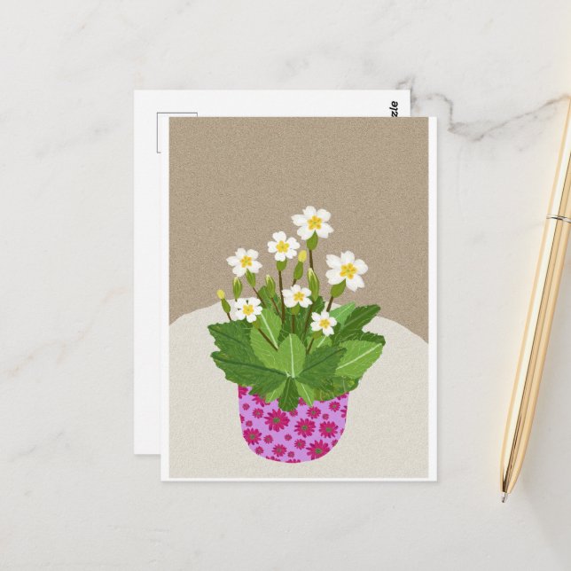 Carte postale Primrose (Devant/Arrière en situation)