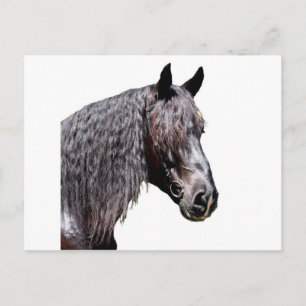 Carte Postale Prince